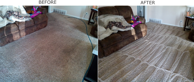 Rotary extraction using Rotovac leaves your carpets clean and residue free.